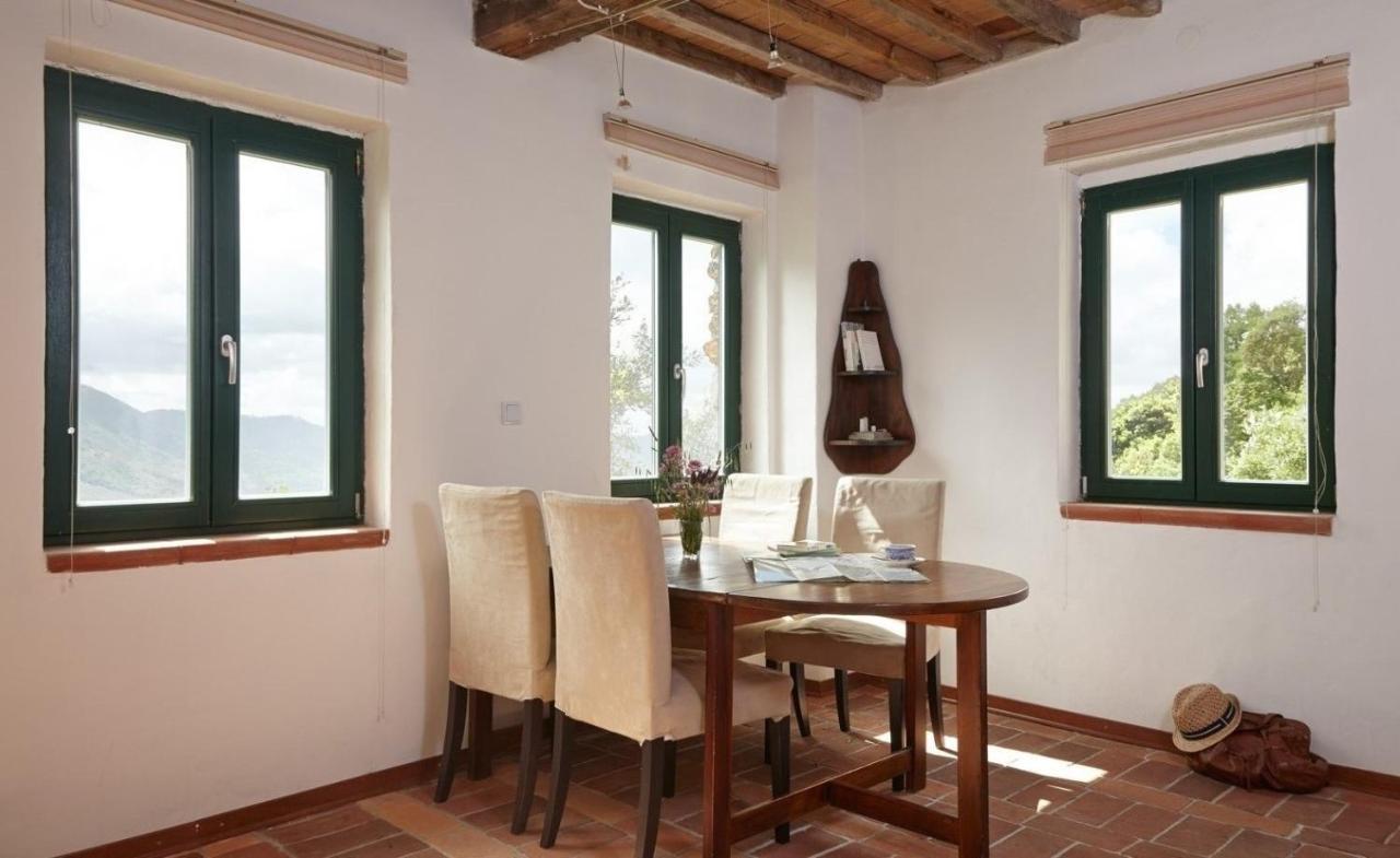 Casa Berti - Urlaub Im Olivenhain Camaiore Exterior foto