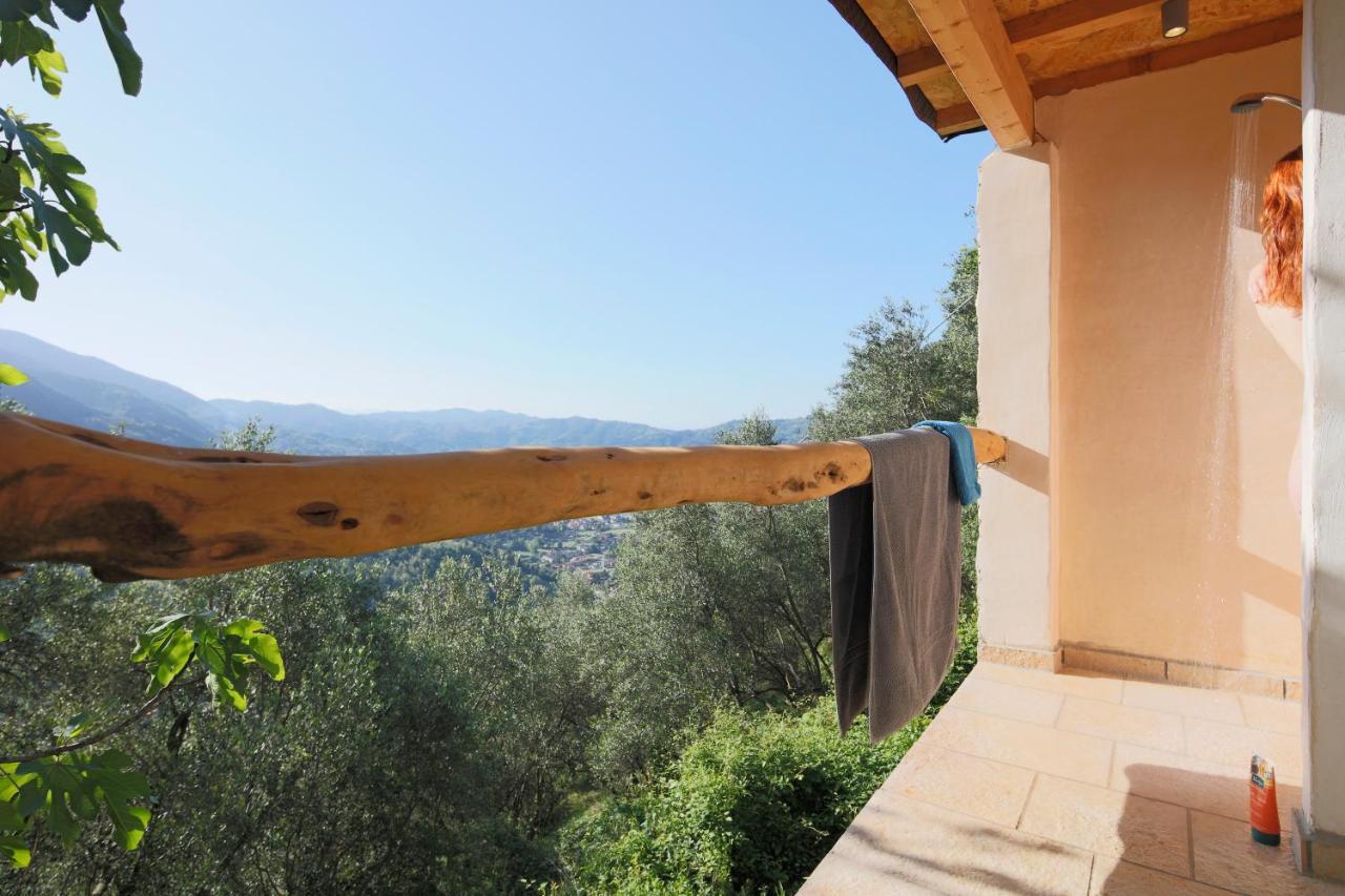 Casa Berti - Urlaub Im Olivenhain Camaiore Exterior foto