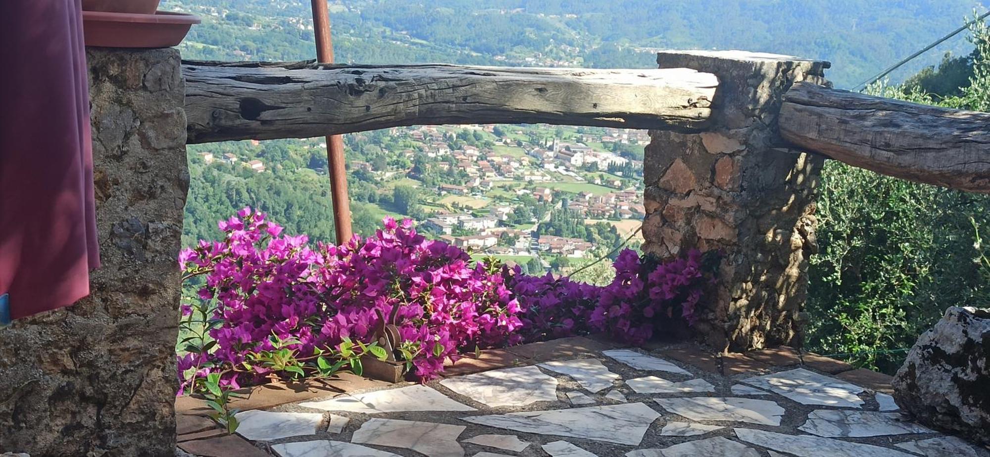 Casa Berti - Urlaub Im Olivenhain Camaiore Exterior foto